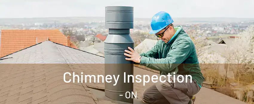  Chimney Inspection - ON