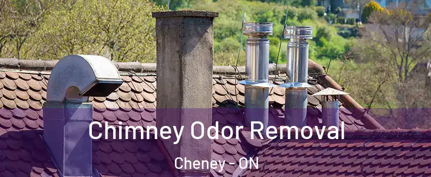  Chimney Odor Removal Cheney - ON