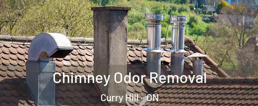  Chimney Odor Removal Curry Hill - ON