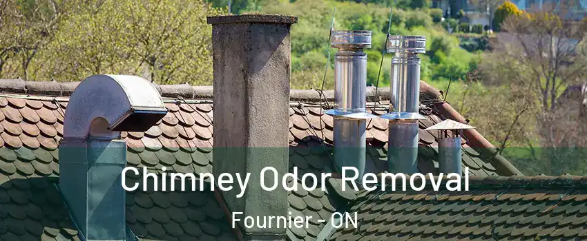  Chimney Odor Removal Fournier - ON
