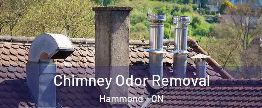  Chimney Odor Removal Hammond - ON