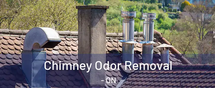  Chimney Odor Removal - ON