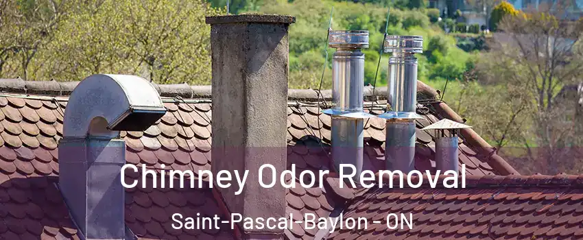  Chimney Odor Removal Saint-Pascal-Baylon - ON