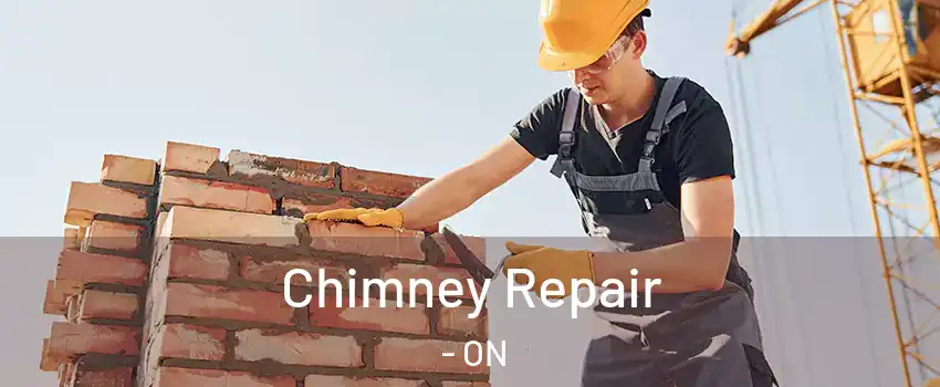  Chimney Repair - ON