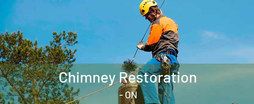  Chimney Restoration - ON