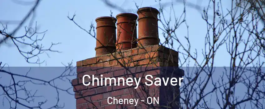 Chimney Saver Cheney - ON