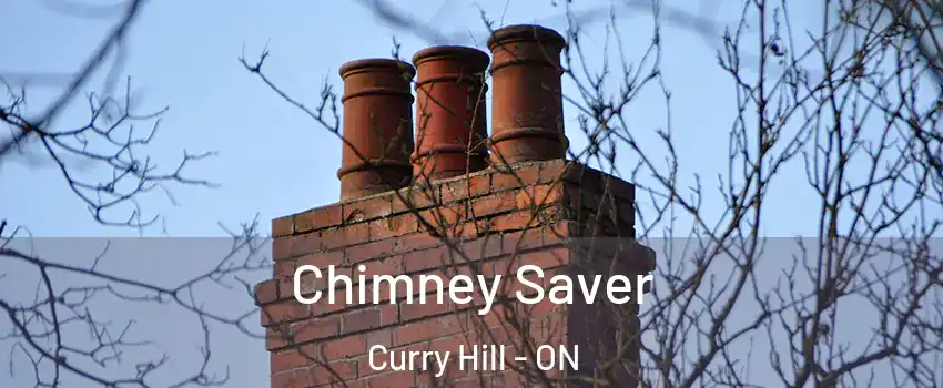  Chimney Saver Curry Hill - ON