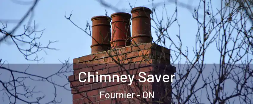  Chimney Saver Fournier - ON