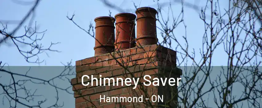  Chimney Saver Hammond - ON