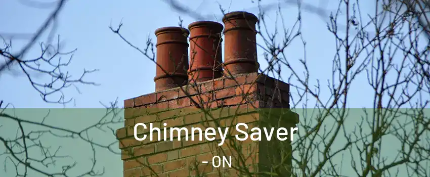  Chimney Saver - ON