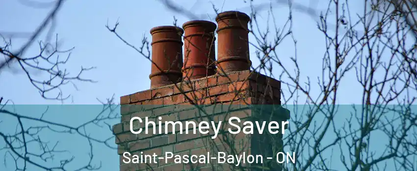  Chimney Saver Saint-Pascal-Baylon - ON