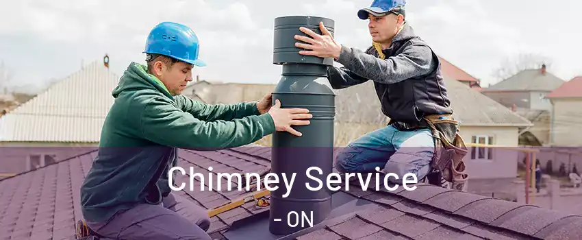  Chimney Service - ON