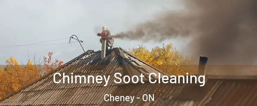  Chimney Soot Cleaning Cheney - ON