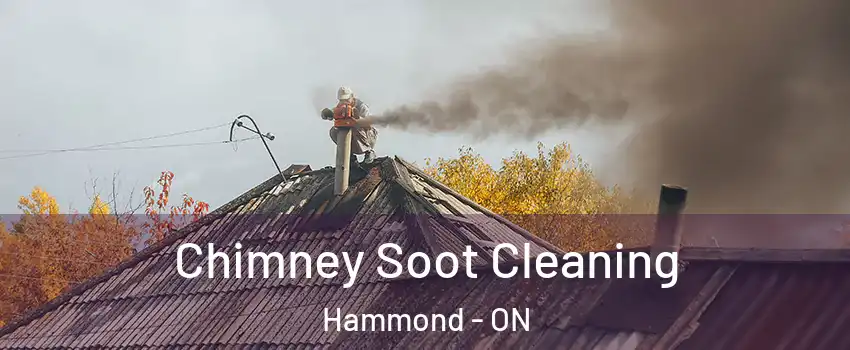  Chimney Soot Cleaning Hammond - ON