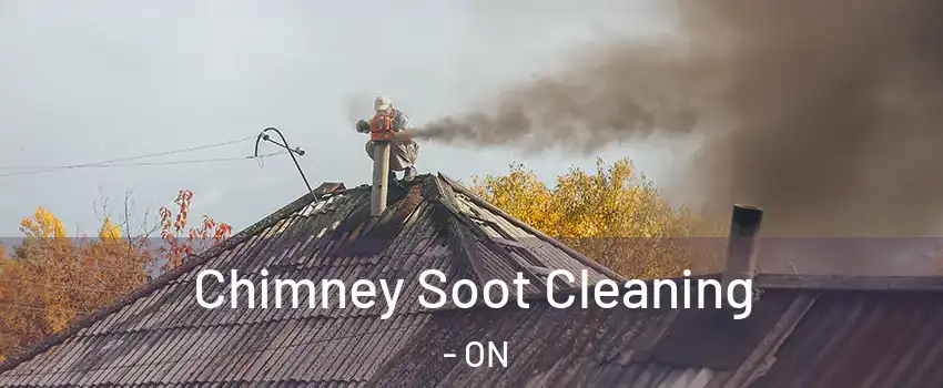  Chimney Soot Cleaning - ON