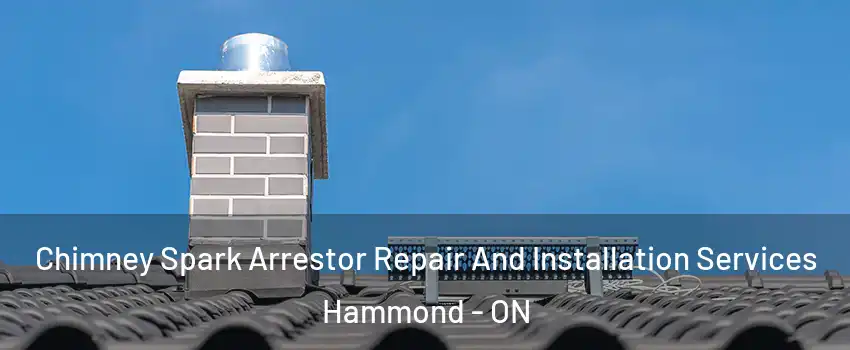  Chimney Spark Arrestor Repair And Installation Services Hammond - ON