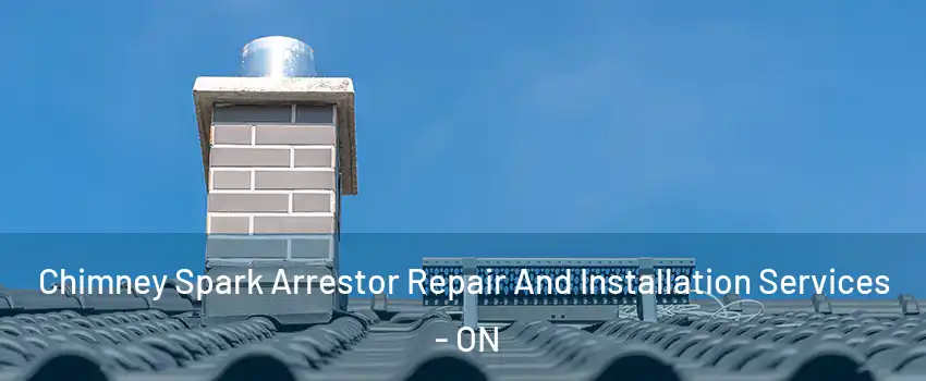  Chimney Spark Arrestor Repair And Installation Services - ON