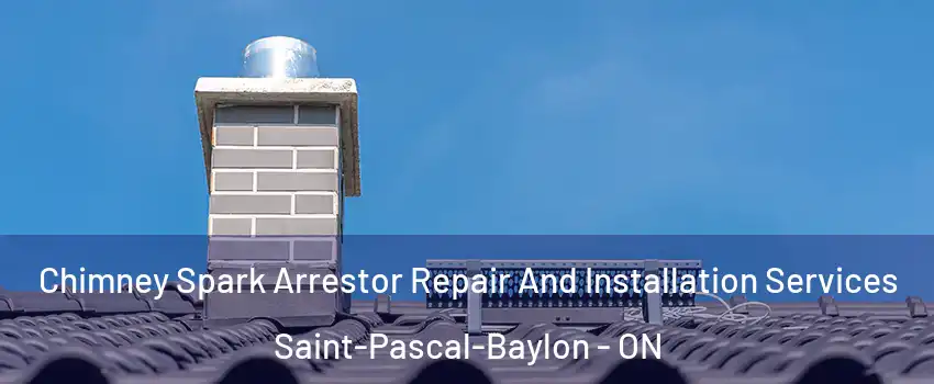  Chimney Spark Arrestor Repair And Installation Services Saint-Pascal-Baylon - ON