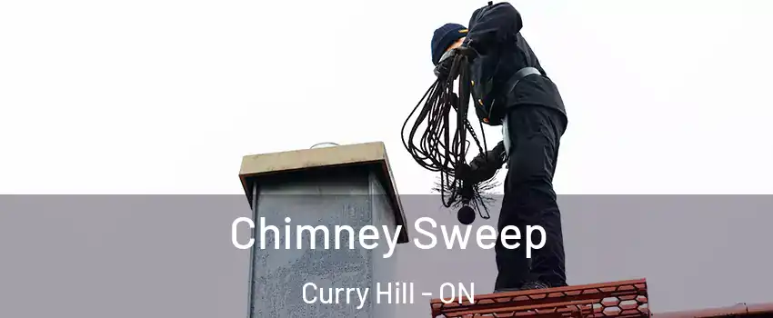  Chimney Sweep Curry Hill - ON