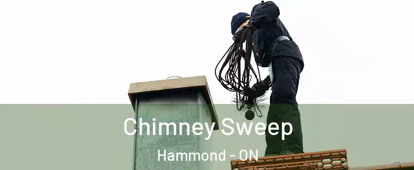  Chimney Sweep Hammond - ON