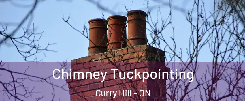  Chimney Tuckpointing Curry Hill - ON