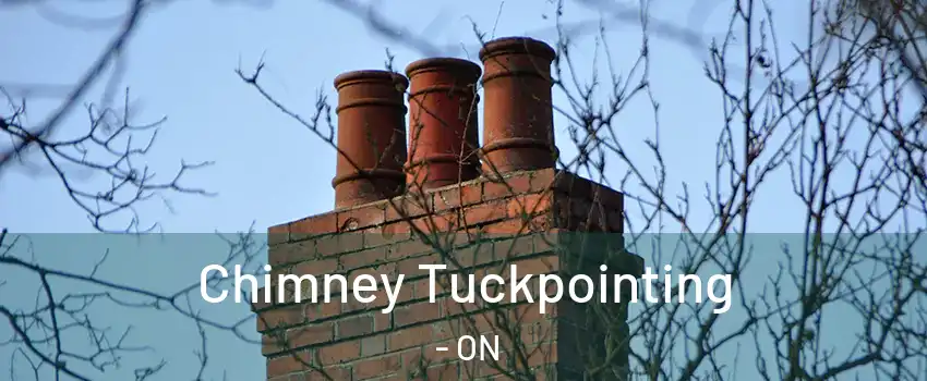  Chimney Tuckpointing - ON