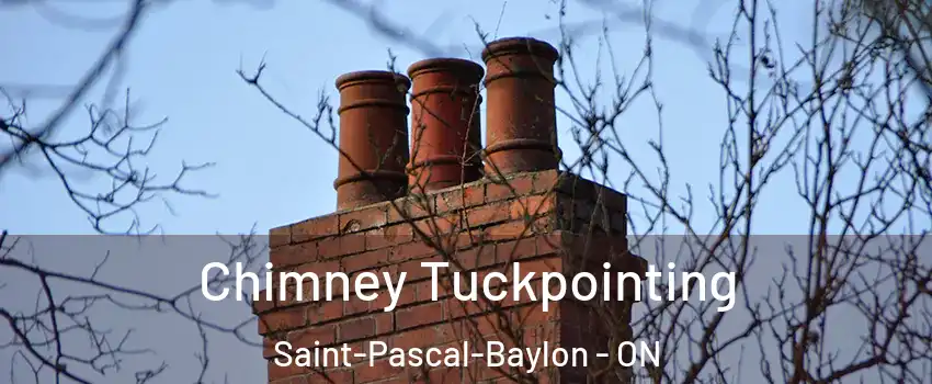  Chimney Tuckpointing Saint-Pascal-Baylon - ON