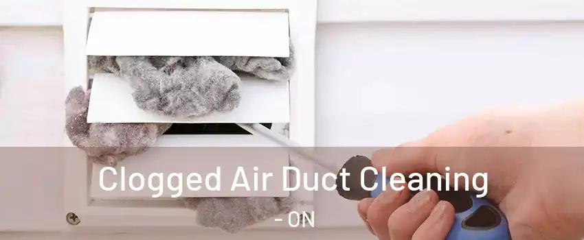  Clogged Air Duct Cleaning - ON