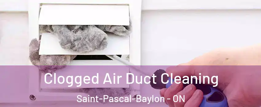  Clogged Air Duct Cleaning Saint-Pascal-Baylon - ON