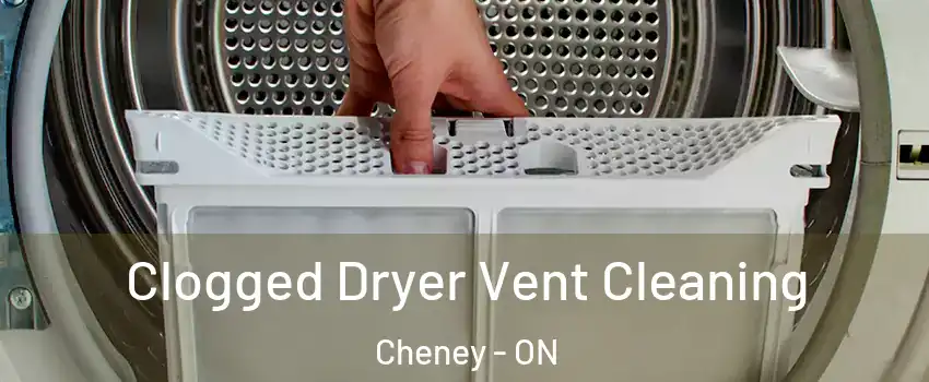 Clogged Dryer Vent Cleaning Cheney - ON