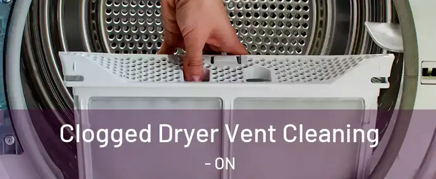  Clogged Dryer Vent Cleaning - ON