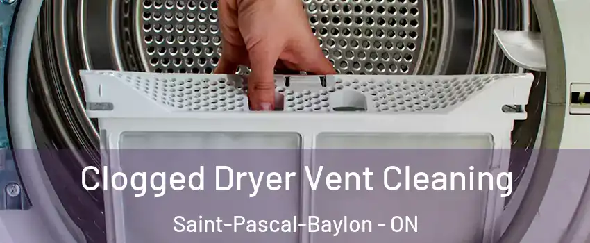 Clogged Dryer Vent Cleaning Saint-Pascal-Baylon - ON