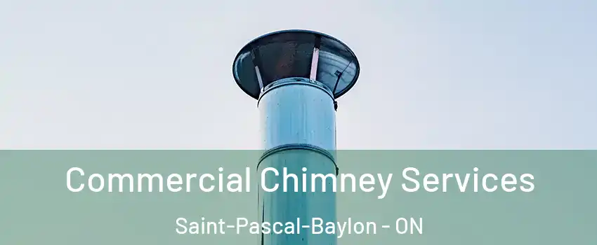  Commercial Chimney Services Saint-Pascal-Baylon - ON