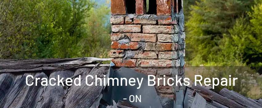  Cracked Chimney Bricks Repair - ON
