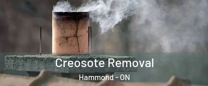  Creosote Removal Hammond - ON