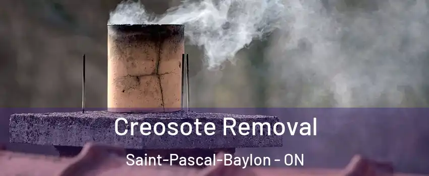  Creosote Removal Saint-Pascal-Baylon - ON