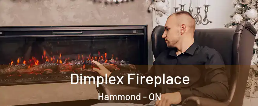  Dimplex Fireplace Hammond - ON
