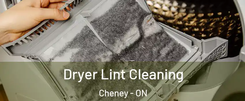  Dryer Lint Cleaning Cheney - ON