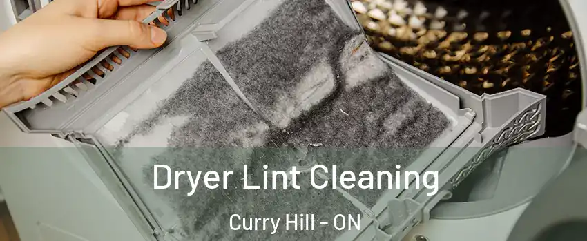  Dryer Lint Cleaning Curry Hill - ON
