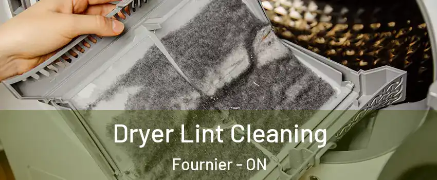  Dryer Lint Cleaning Fournier - ON