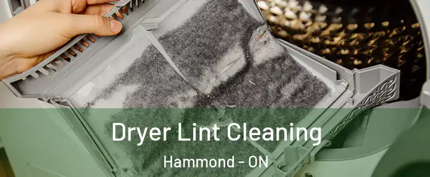  Dryer Lint Cleaning Hammond - ON