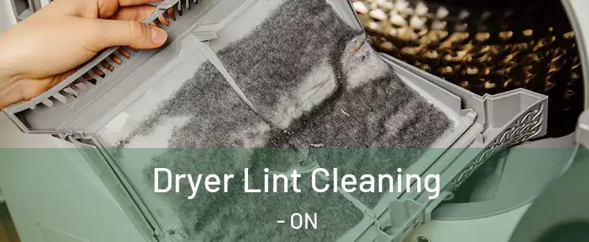  Dryer Lint Cleaning - ON