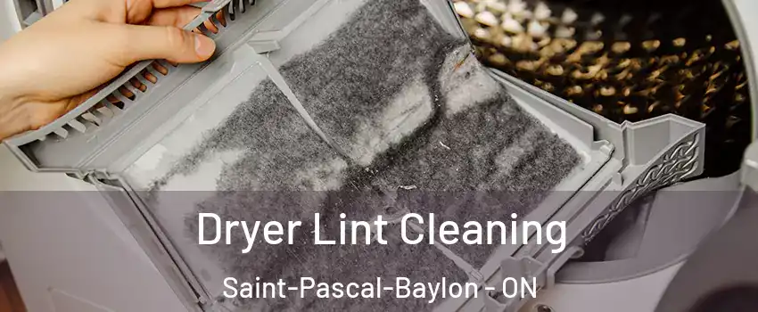  Dryer Lint Cleaning Saint-Pascal-Baylon - ON