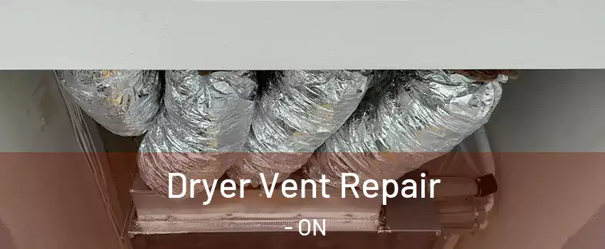  Dryer Vent Repair - ON