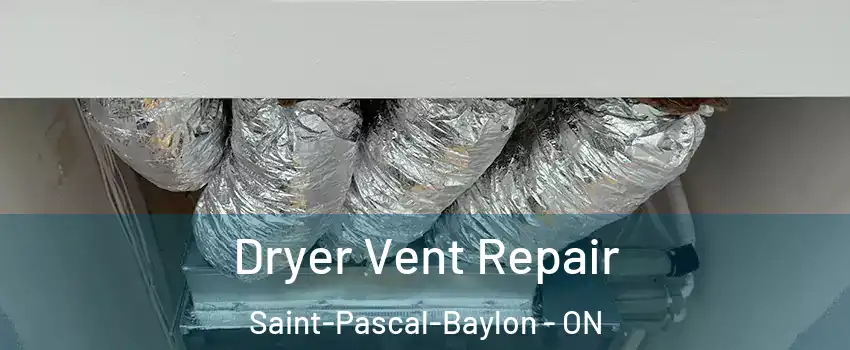  Dryer Vent Repair Saint-Pascal-Baylon - ON