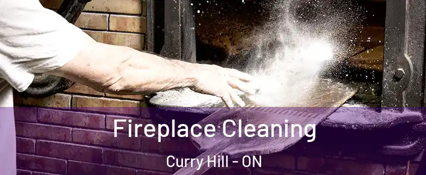  Fireplace Cleaning Curry Hill - ON
