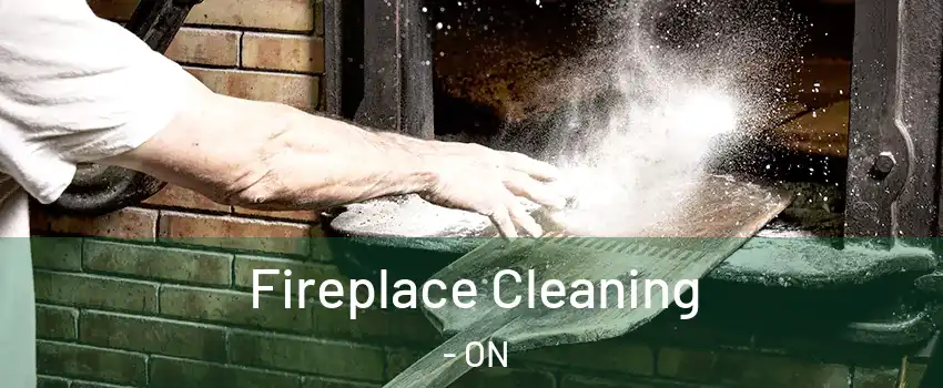  Fireplace Cleaning - ON