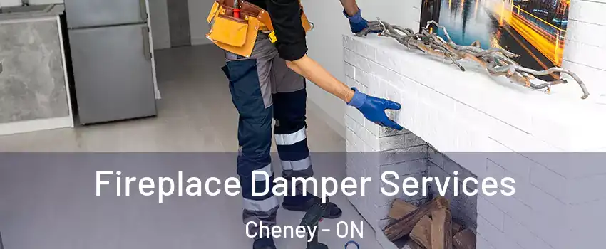 Fireplace Damper Services Cheney - ON