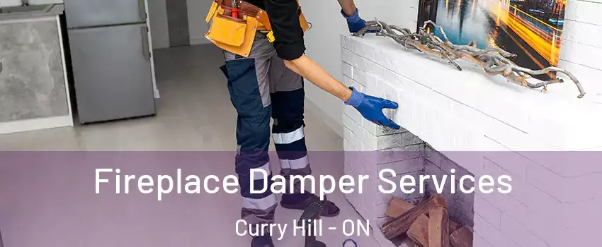  Fireplace Damper Services Curry Hill - ON