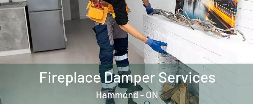  Fireplace Damper Services Hammond - ON